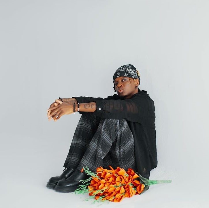 Pilot by Dogo Janja, Geniusjini X66