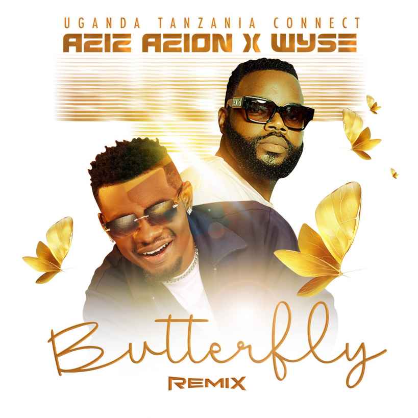 Butterfly (remix) by Aziz Azion And Wyse Tz