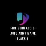 Fire Burn by Black B Rickfaufu