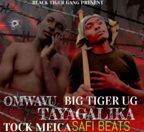 Omwavu Tayagalika by Big Tiger Ug