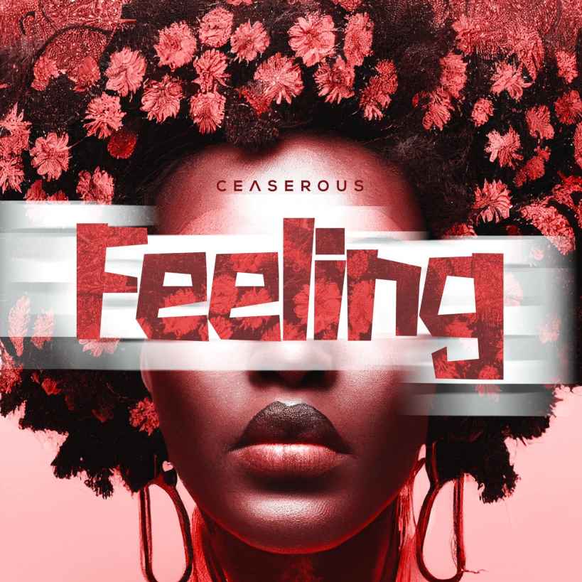 Feeling by Ceaserous