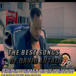 Best Songs Of David Lutalo by Deejay Eddy256