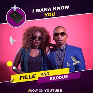 I Wanna Know You by Fille ft Exodus
