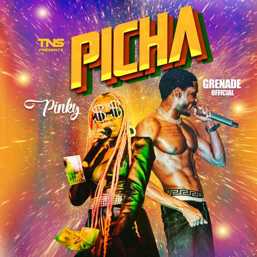 Picha by Pinky Ft. Grenade