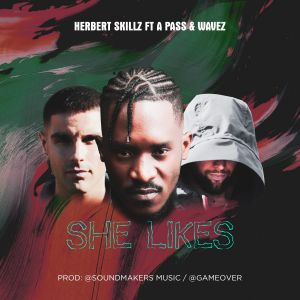 She Likes by Herbert Skillz Ft. A Pass