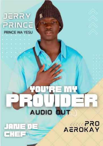 Provider by Jerry Prince