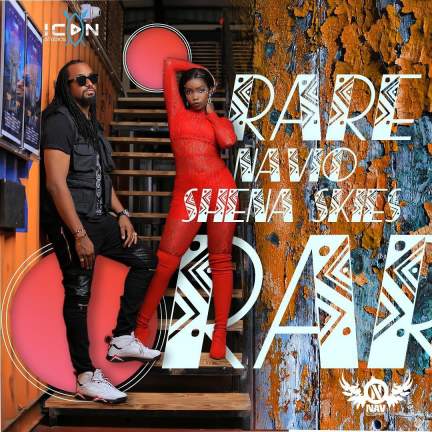 Rare by Navio Feat. Shena Skies