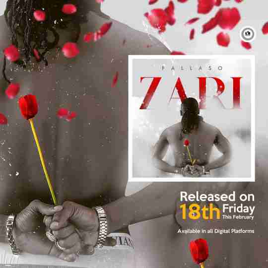 Zari by Pallaso