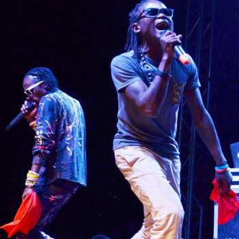 Number Emu by Radio and Weasel