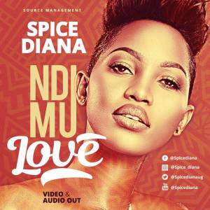 Ndi Mu Love by Spice Diana