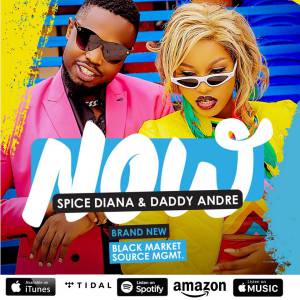 Now (Nsowera) by Spice Diana ft Daddy Andre