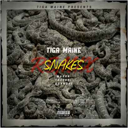 Snakes Remix (ft. Marka X Theeori & Robnori) by Tiga Maine