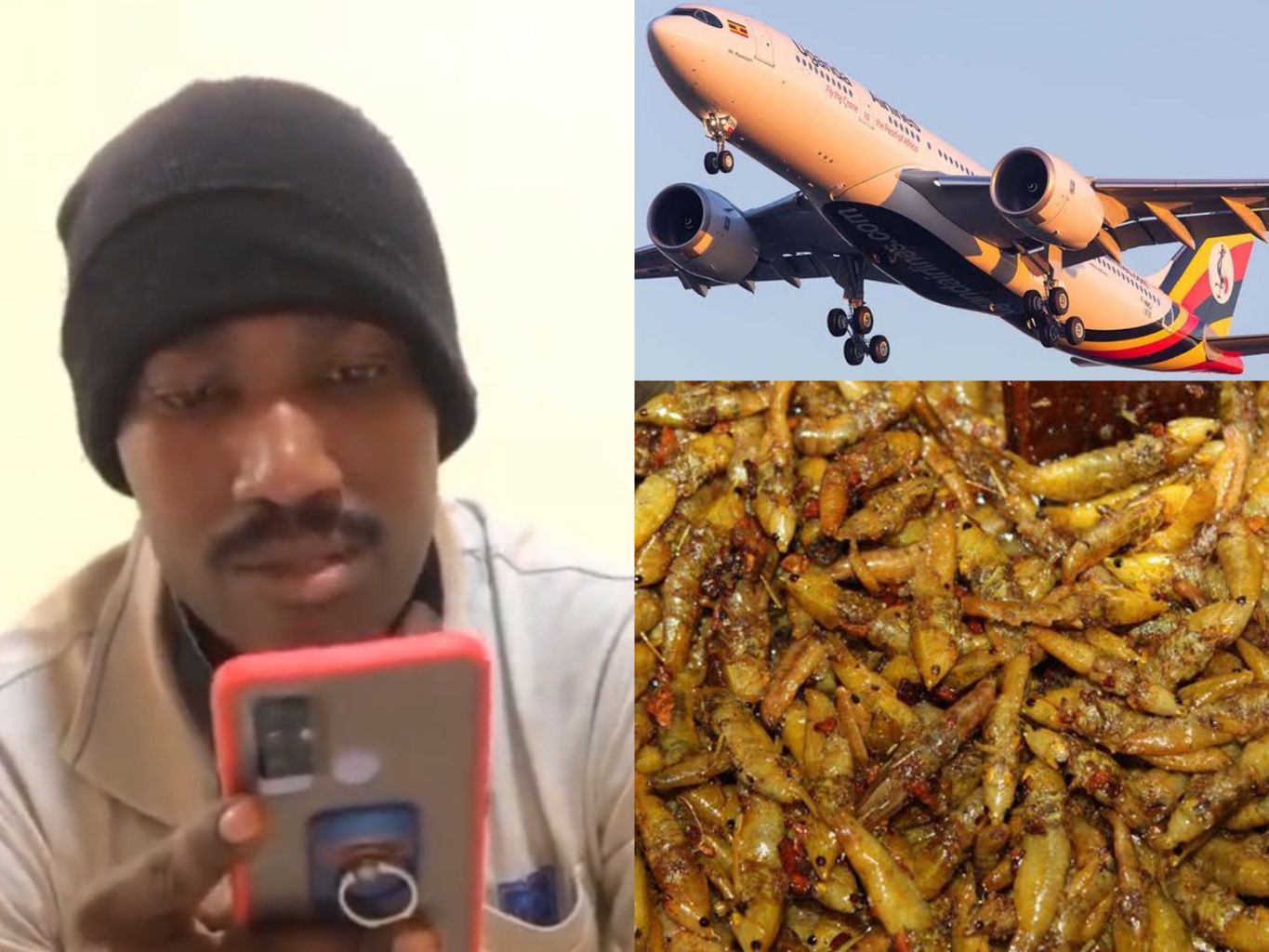 Man Sells Grasshoppers (Nsenene) on Uganda Airlines Flight in the Name of Tik Tok