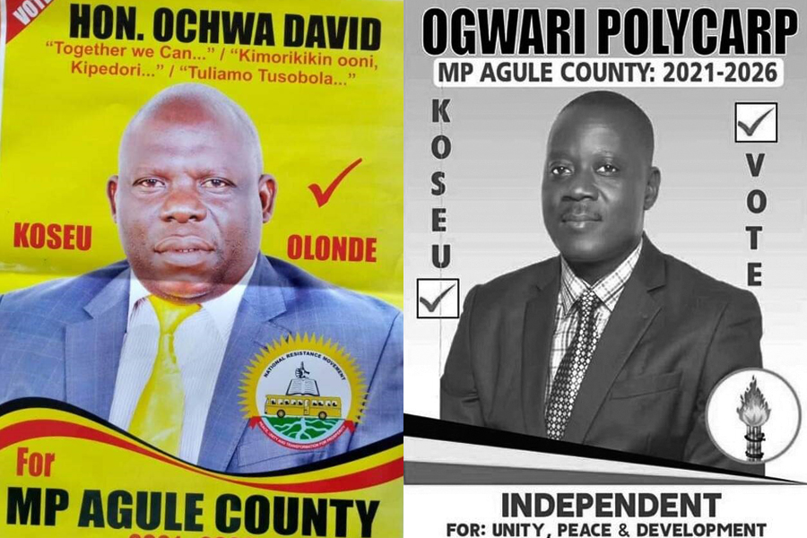 Court Orders Removal of Agule County MP, Declares Rightful Winner