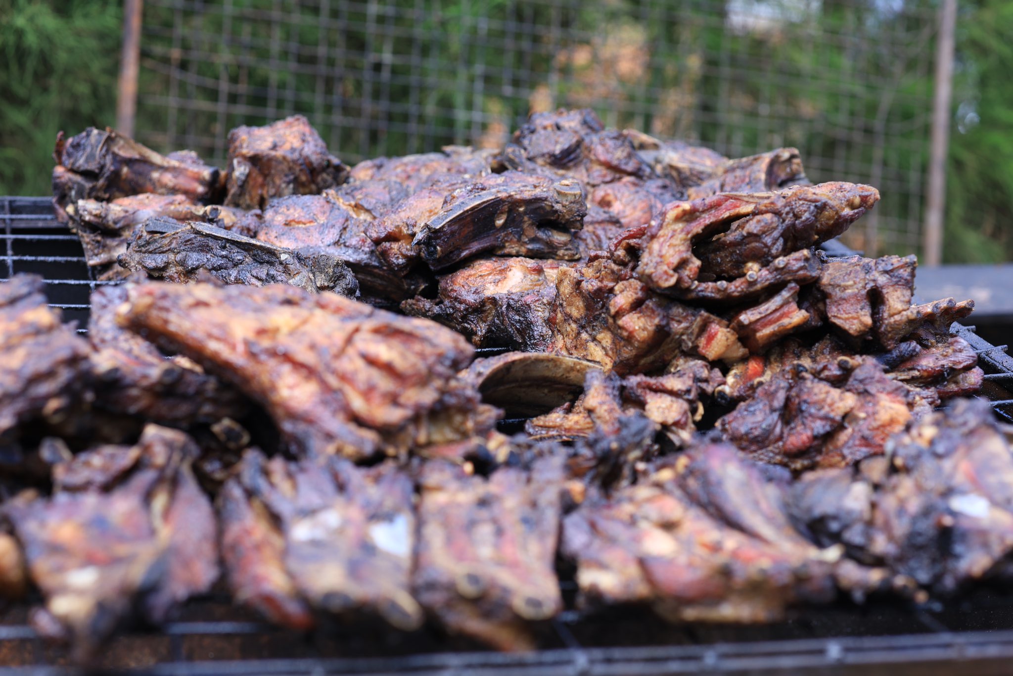 Meat Lovers Rejoice! East African Meat Carnival is Coming to Najjera on June 29th, 2024 - Don't Miss Out!